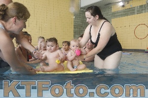 Photo 4263467