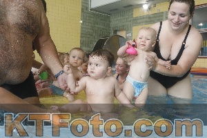 Photo 4263469