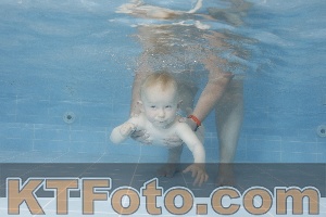 Photo 4263493
