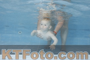 Photo 4263494