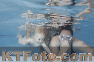 Photo 4263515