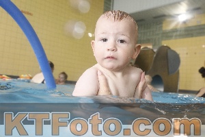 Photo 4263571