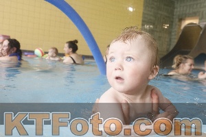 Photo 4263582