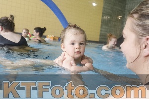 Photo 4263590