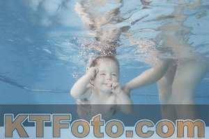 Photo 4263602