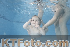 Photo 4263604