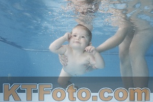 Photo 4263605