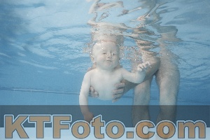 Photo 4263606