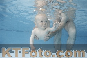 Photo 4263607