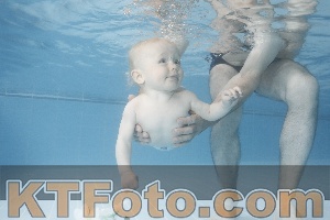 Photo 4263608