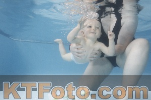 Photo 4263610
