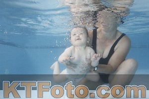 Photo 4263612