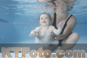 Photo 4263613