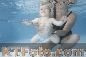 Photo 4263614