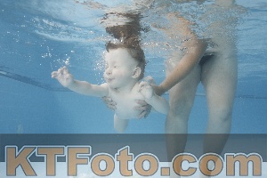 Photo 4263615