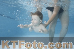 Photo 4263616