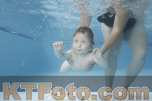 Photo 4263617