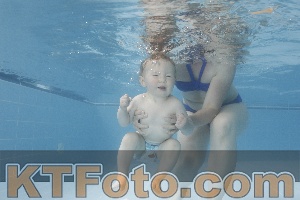 Photo 4263618
