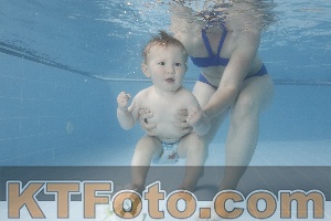 Photo 4263620
