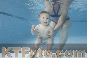 Photo 4263621