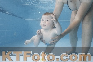 Photo 4263624