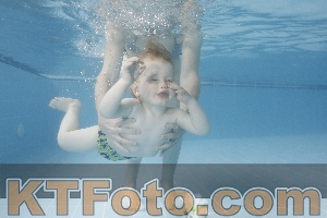 Photo 4263626