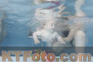 Photo 4263628