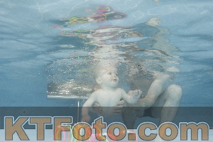 Photo 4263630