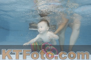 Photo 4263633