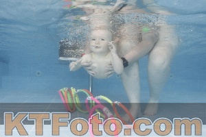 Photo 4263634