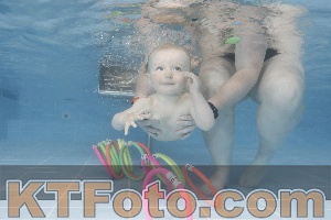 Photo 4263635