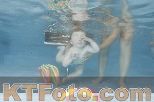 Photo 4263638