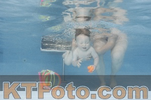 Photo 4263643