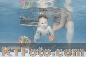 Photo 4263644