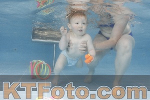 Photo 4263645