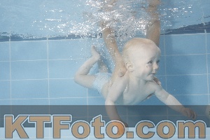 Photo 4263719