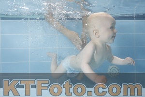 Photo 4263720