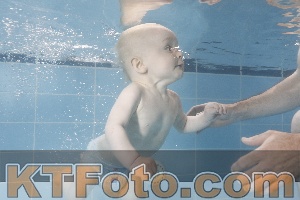 Photo 4263721