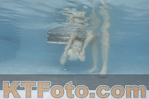 Photo 4263722