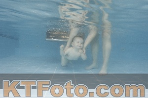 Photo 4263723