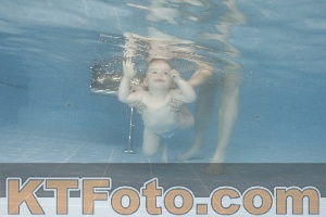 Photo 4263725