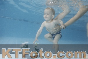 Photo 4263787