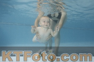Photo 4263790