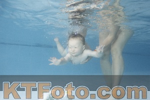 Photo 4263791