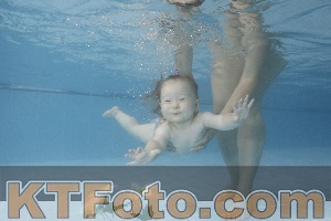 Photo 4263792