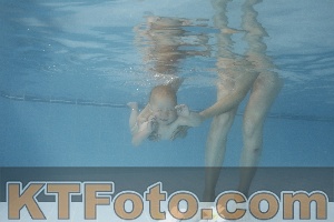 Photo 4263794