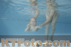 Photo 4263795