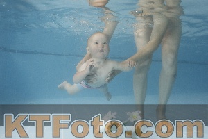 Photo 4263796