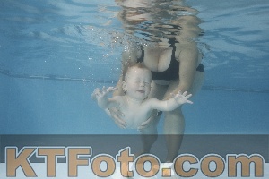 Photo 4263798