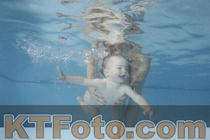 Photo 4263803